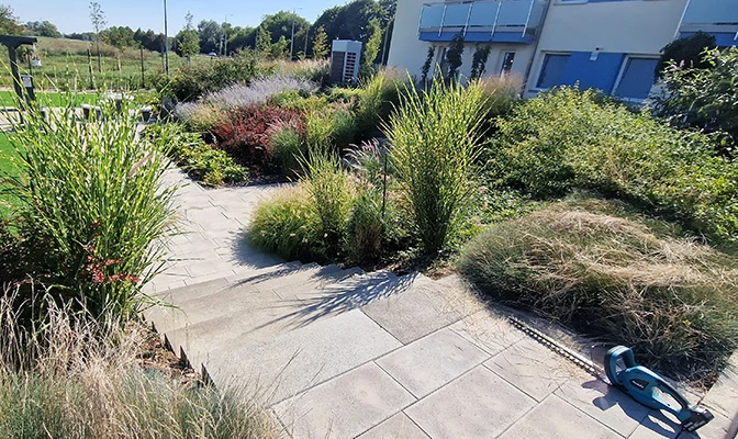 Plantstore Kertészeti webáruház