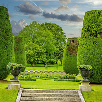 Kisokos azoknak, akik formára nyírt növényeket szeretnének nevelni