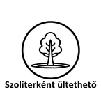 Szoliterként ültethető